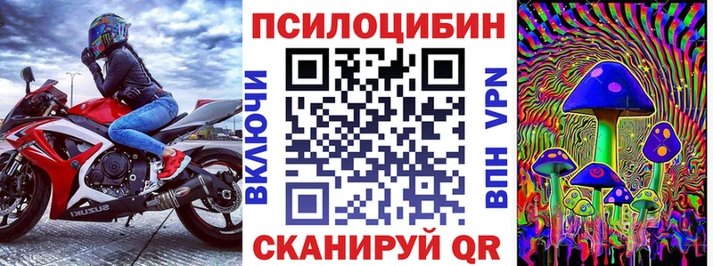 Псилоцибиновые грибы Psilocybe  Чкаловск 