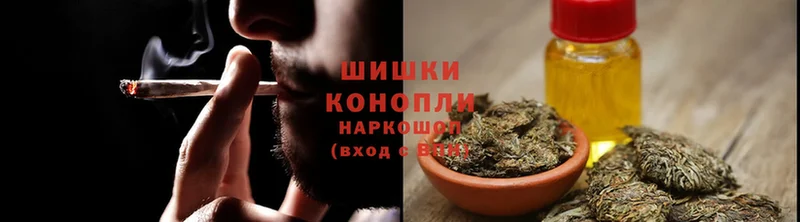 где найти наркотики  Чкаловск  Шишки марихуана SATIVA & INDICA 